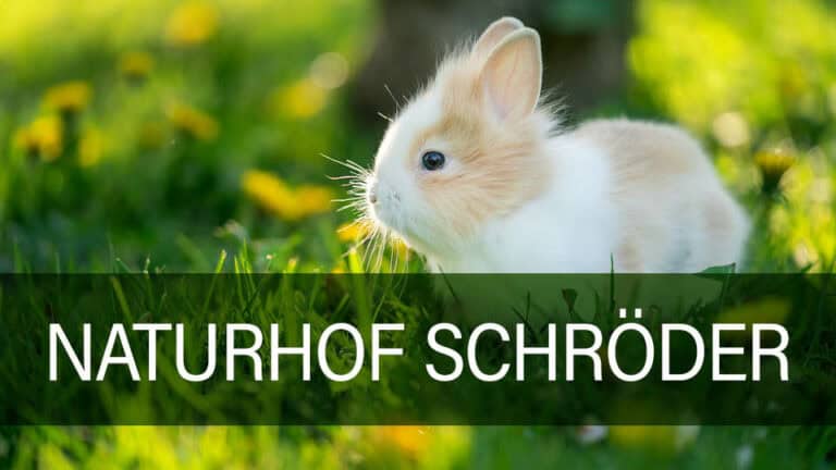 Naturhof Schröders naturpodukter til kaniner og gnavere - læs mere