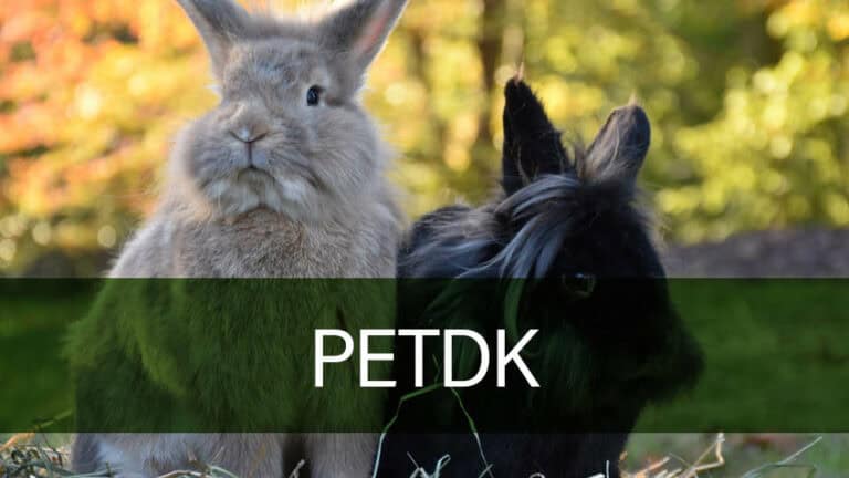 PetDK - Hø og snacks til kaniner, marsvin og gnavere - læs mere
