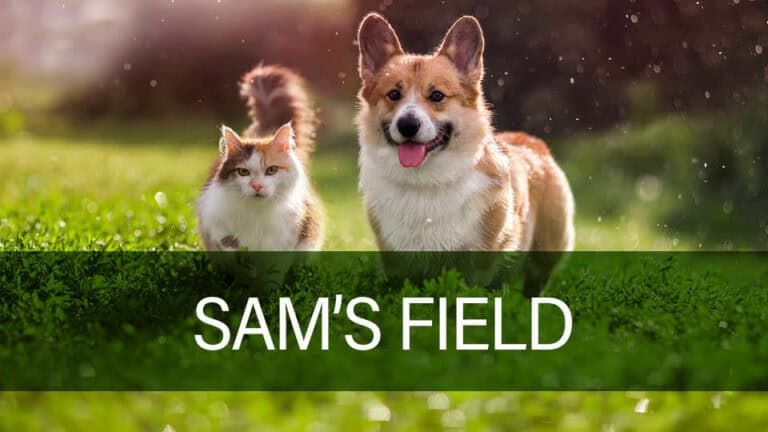 Sams Field kvalitetsfoder til hund og kat - læs mere