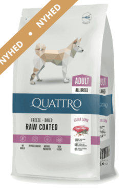Produkt billede af Quattro Adult Lamb 12kg