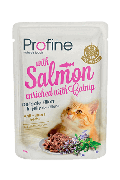Profine Kitten Fillets - Salmon & Catnip