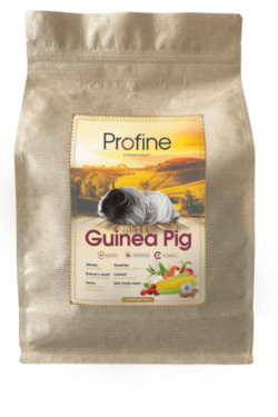 profine-guinea-pig