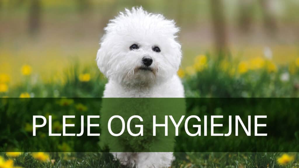 Hund plejeudstyr fra Petland.