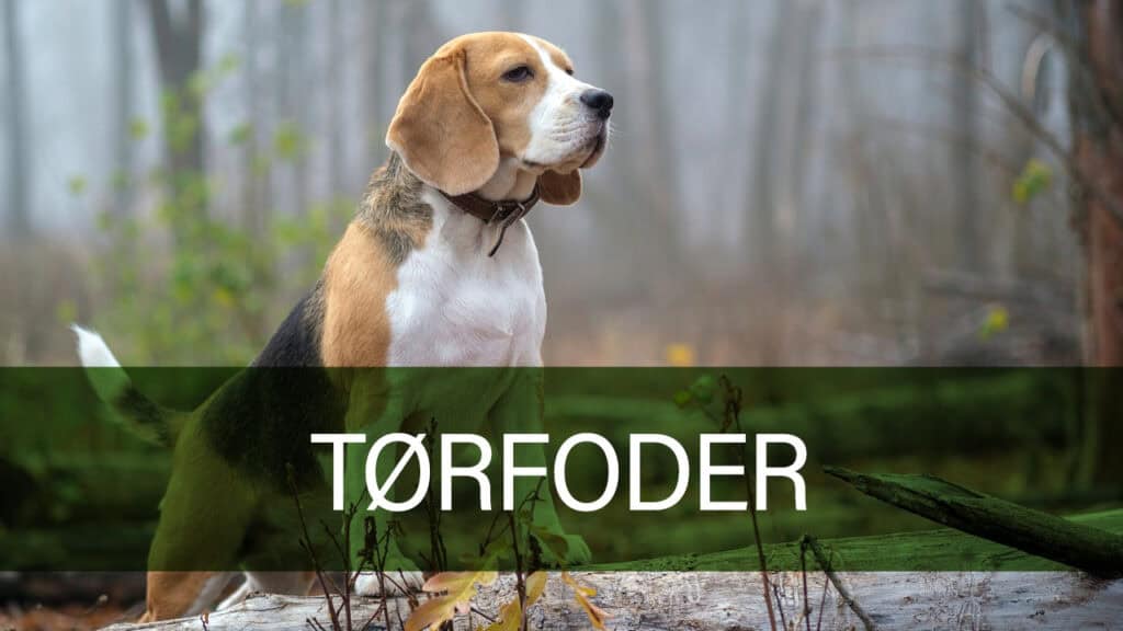 Petland hundefoder til optimal ernæring