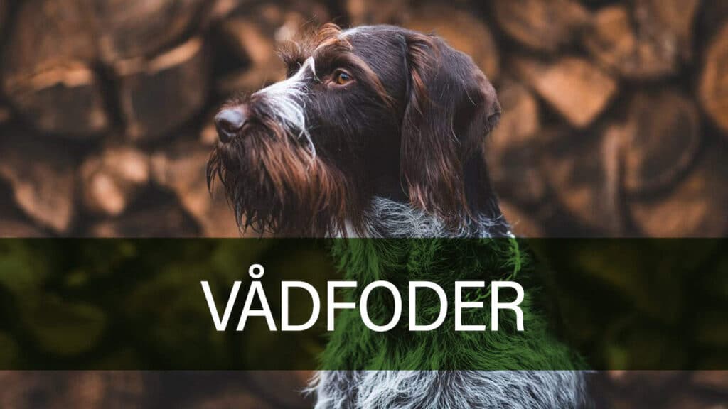 Hundefoder fra Vaadfoder på Petland's hjemmeside.