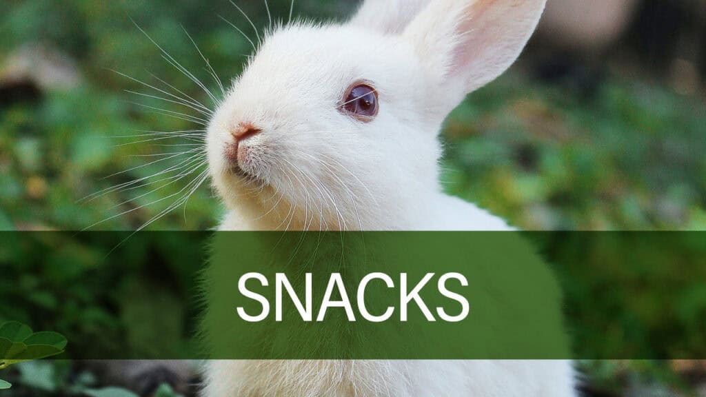 Billede af Petland kaninsnacks