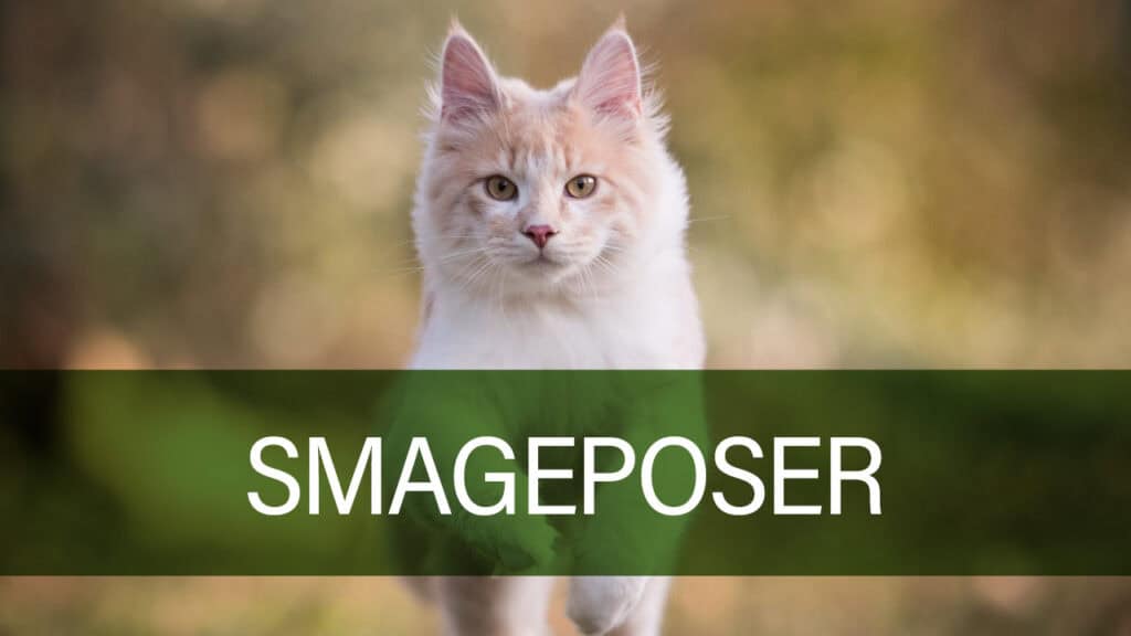 Kat spiser Smageposer fra Petland.