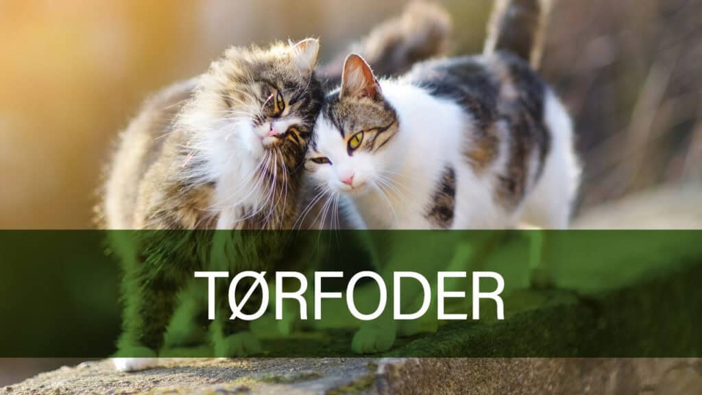 Alt-tekst: Petland katetørfoder, forsiden af pakken.