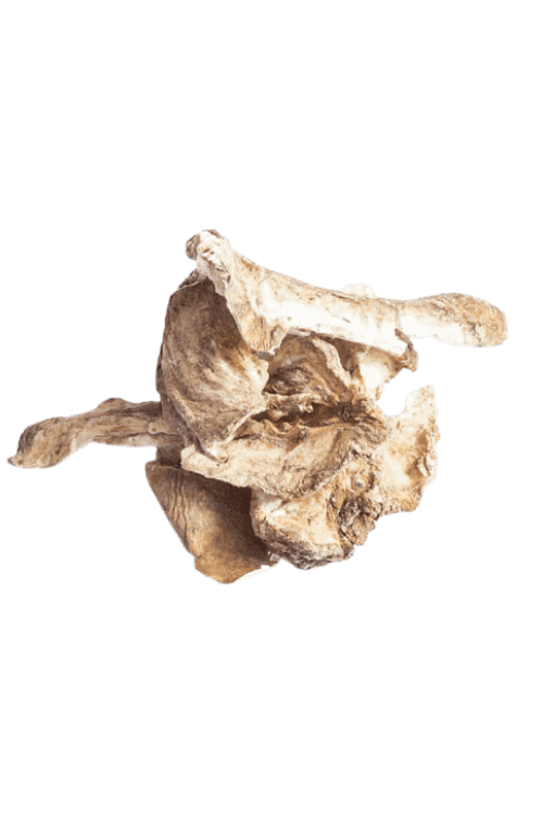 Cikorierødder 300 gram