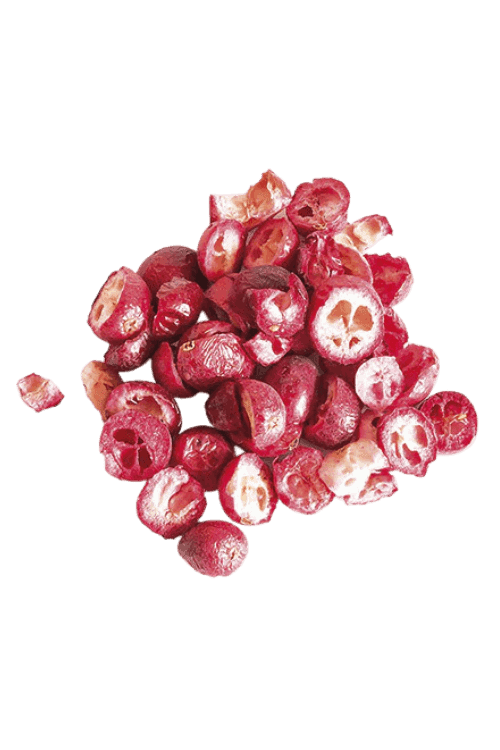 PetDK Frysetørret Tranebær 15g