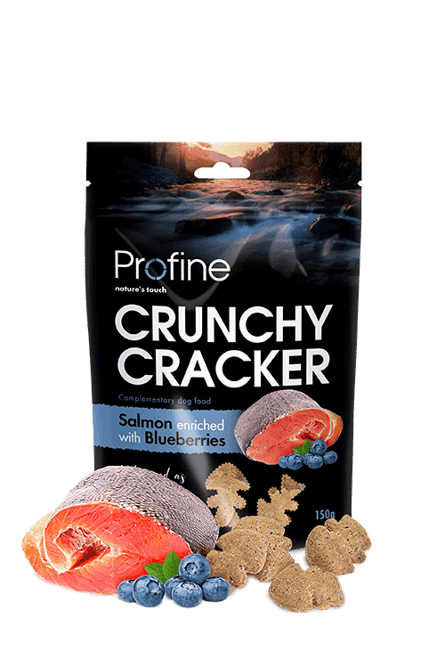 Profine Crunchy Cracker - Salmon & Blueberries 150g