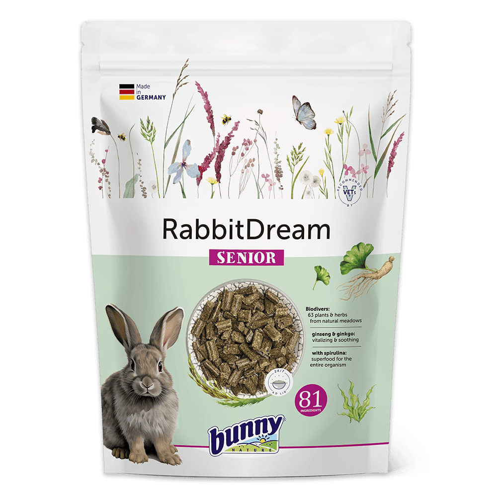 RabbitDream SENIOR (1