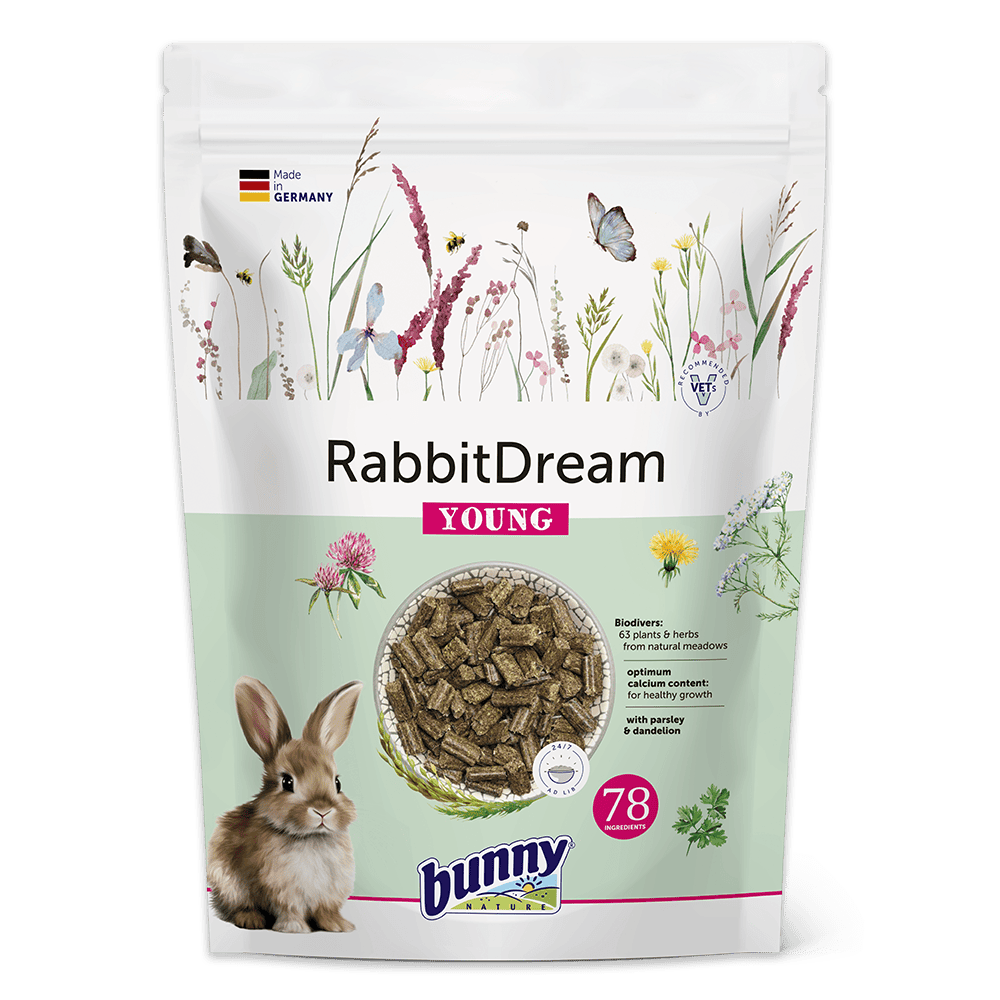 RabbitDream YOUNG (1