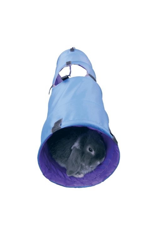 activity tunnel