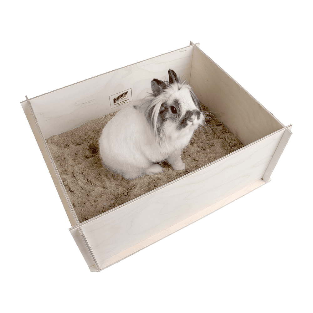 Bunny Nature