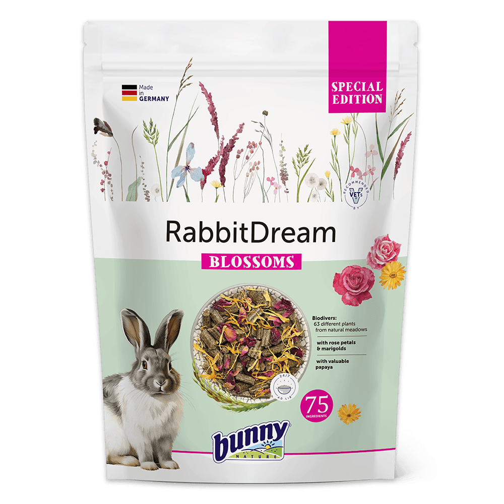 RabbitDream Blossoms forside