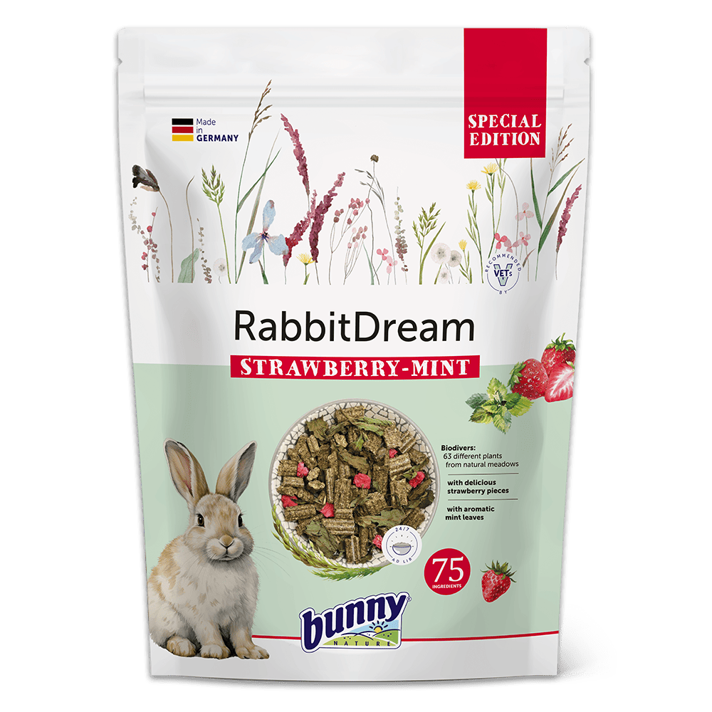 RabbitDream Strawberry-mint forside