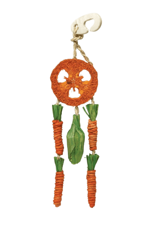 carrot dream catcher