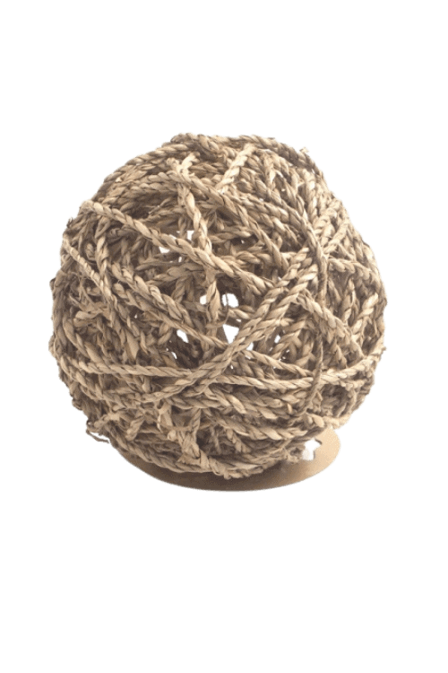 seagrass fun ball