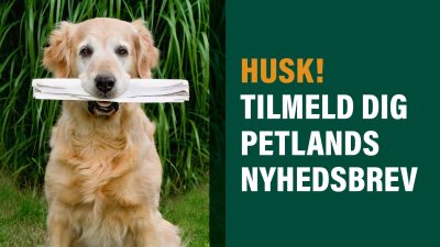 Tilmeld dig Petlands nyhedsbrev